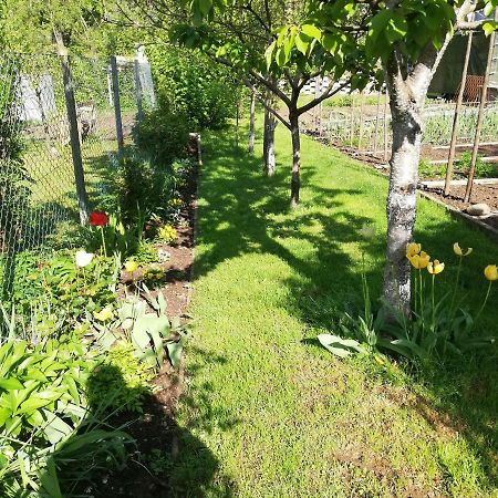 Apartment Sopar Škofja Loka Exteriér fotografie