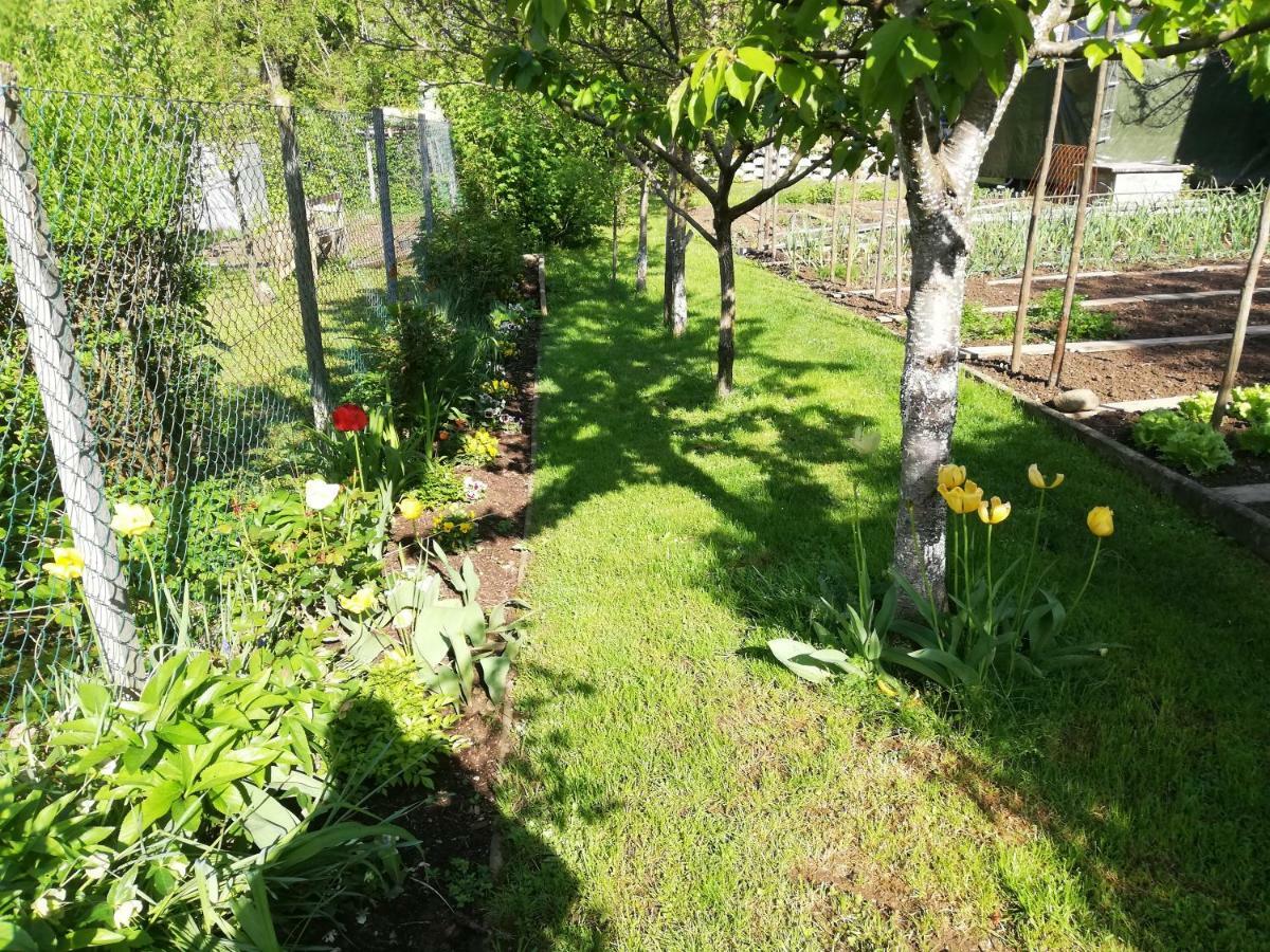 Apartment Sopar Škofja Loka Exteriér fotografie